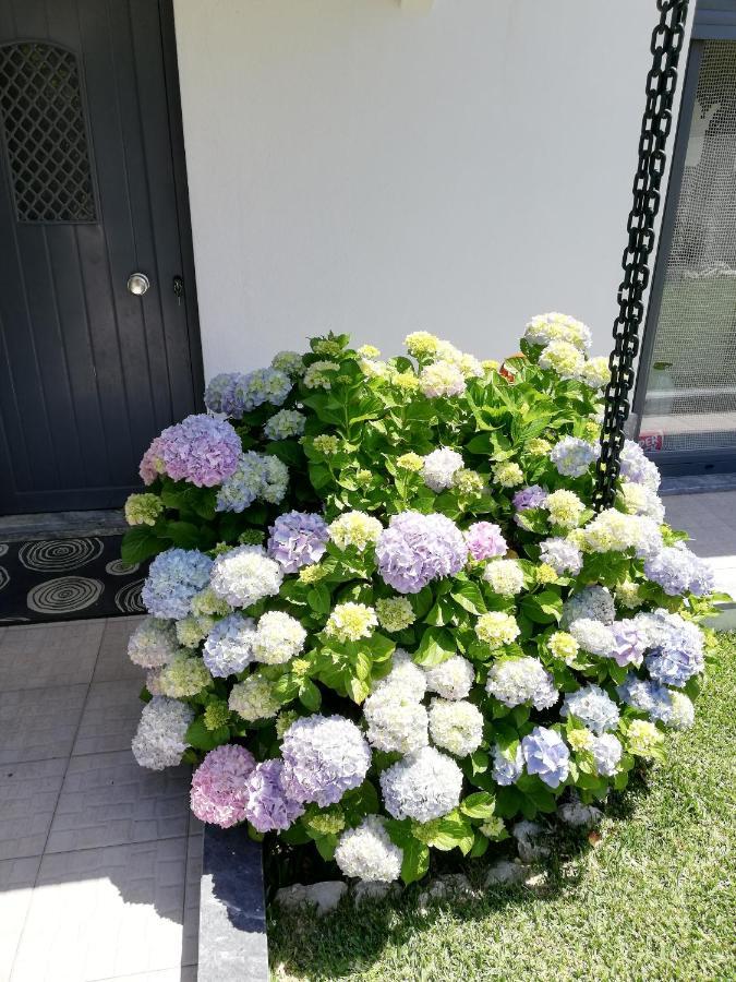 Moradia No Seixal Ericeira Hotel Luaran gambar